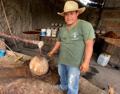 Silverio showing Ancestral distillation with clay pot and quiote.