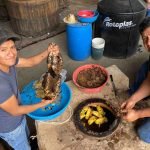 Silverio García and his family prepare Turkey Mole Negro Pechuga mezcal during traditional pechuga production in Oaxaca, Mexico